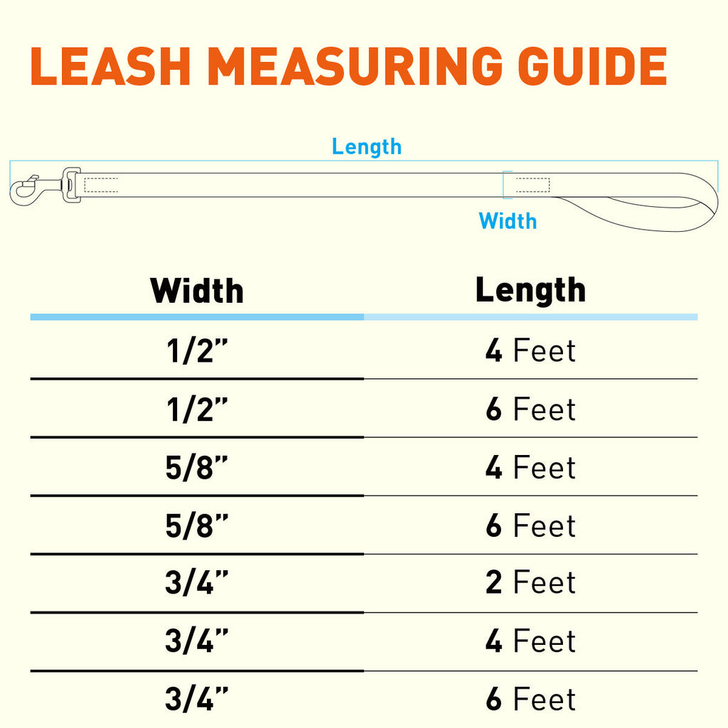 Biothane Waterproof Dog Leash, 4 ft