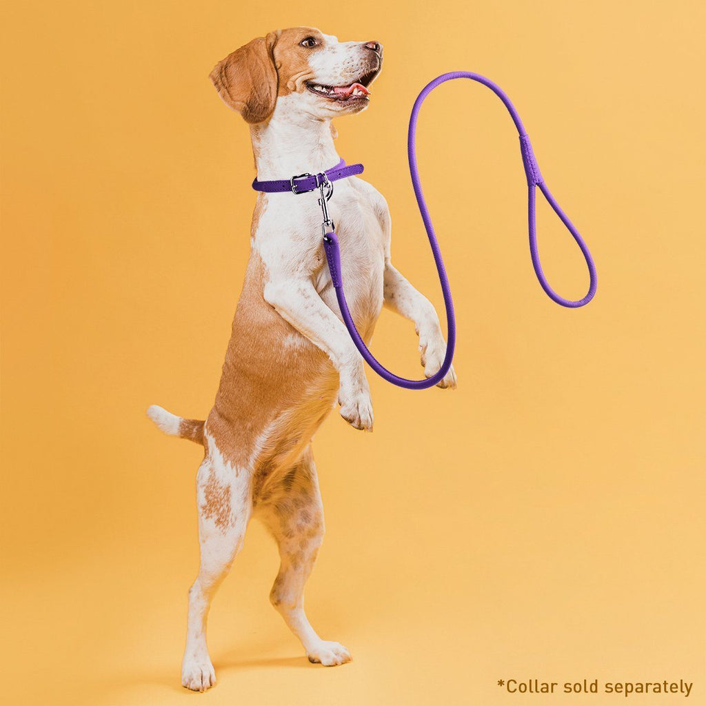 Soft Leather Round Dog Lead
