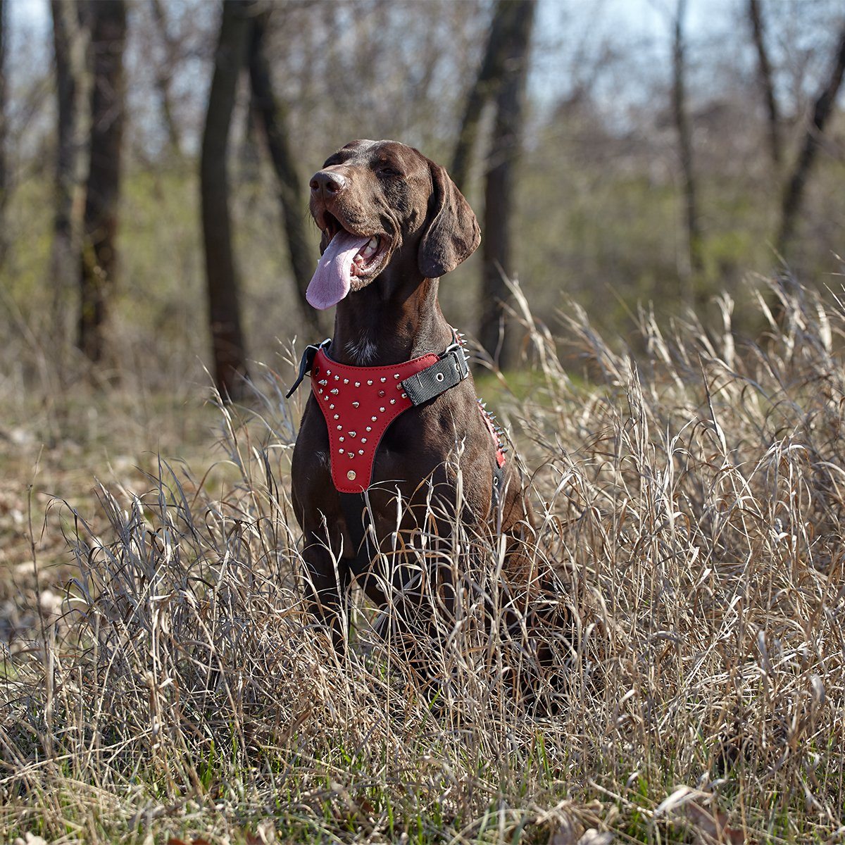 Leather + Nylon Spiked Dog Harness