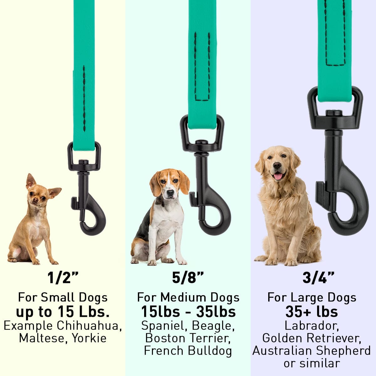 Biothane Waterproof Dog Leash, 4 ft