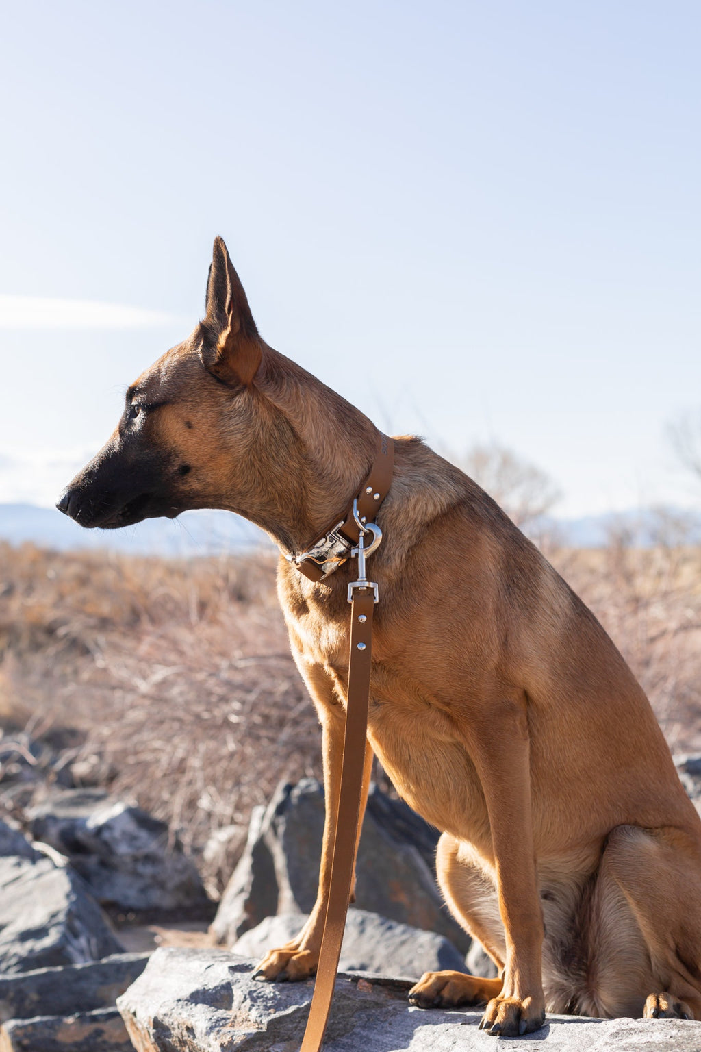 Modern Style Earth Brown Leather Leash