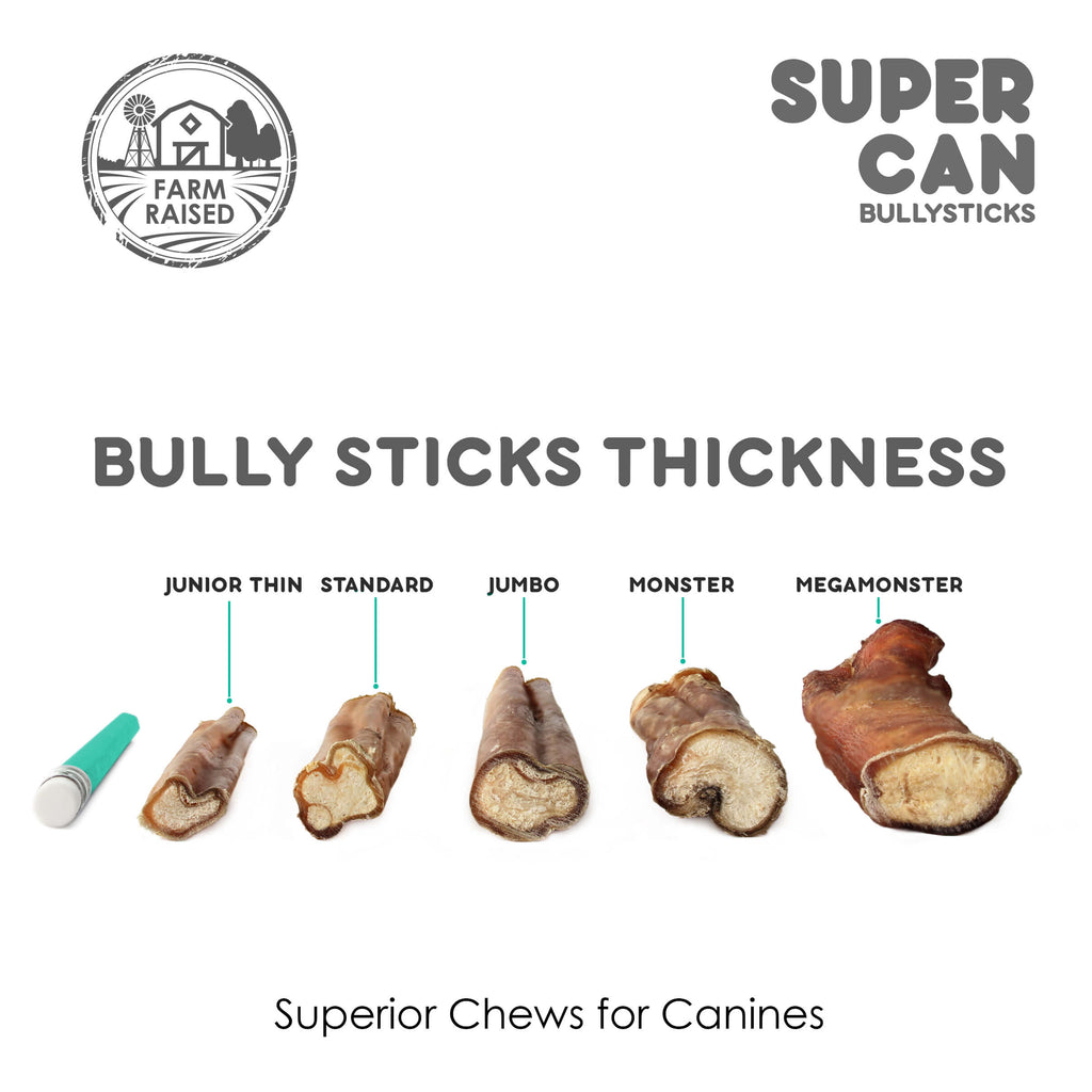 6" Junior Bully Sticks (25 sticks bag)