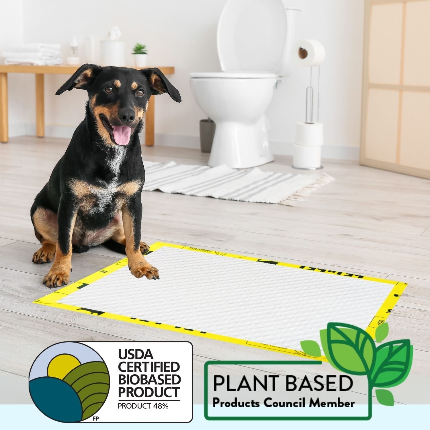 Pee Pads for Dogs
