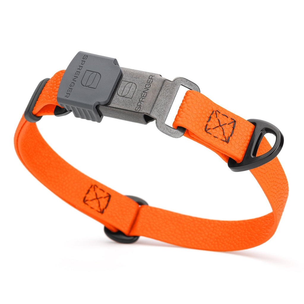Dogline Pebble Emboss Biothane Dog Collar with Herm Sprenger Stainless Steel ClicLock Buckle