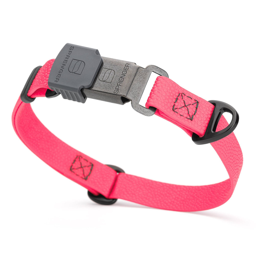 Dogline Pebble Emboss Biothane Dog Collar with Herm Sprenger Stainless Steel ClicLock Buckle