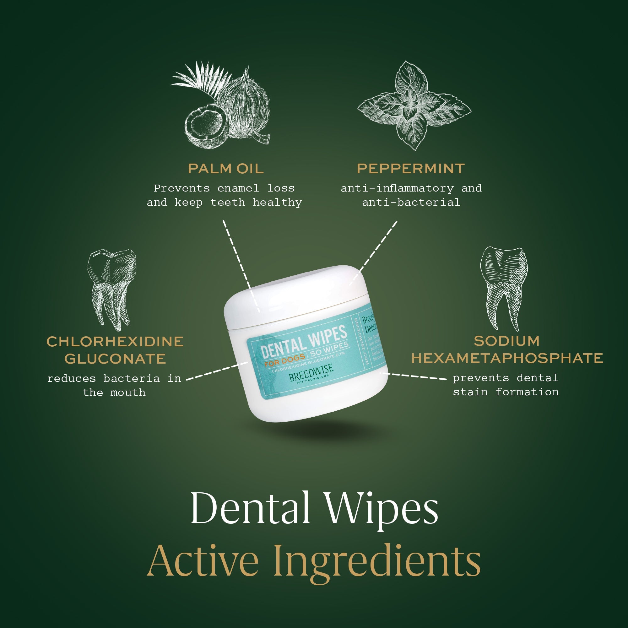 Breedwise Dental Wipes
