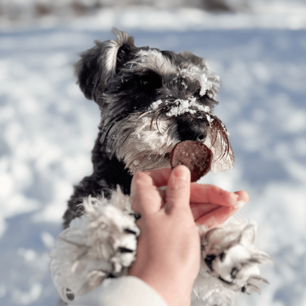 Snack Stuffers Mini Dog Treat Bags