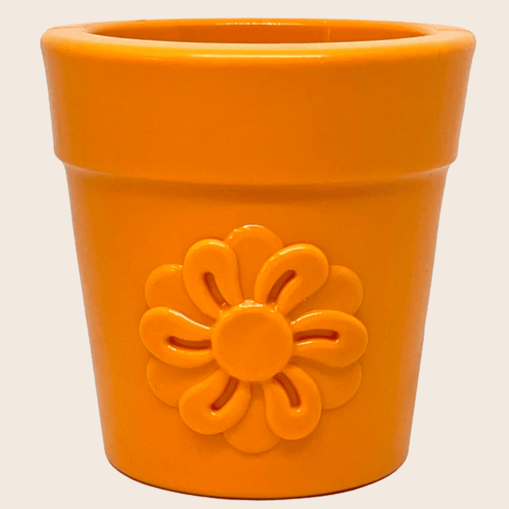 Dog Treat Dispensers