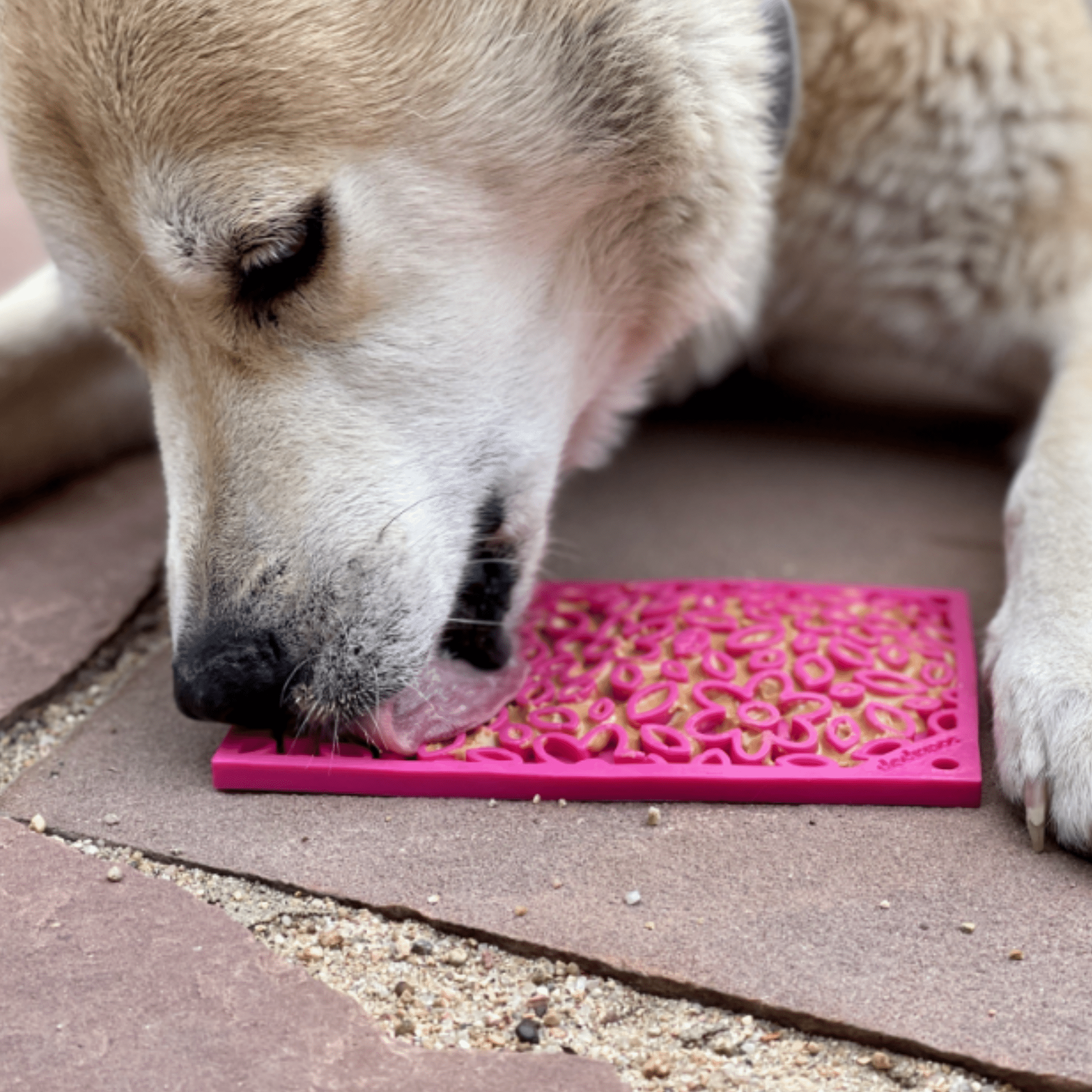 Lick Mats for Cats and Small Dogs