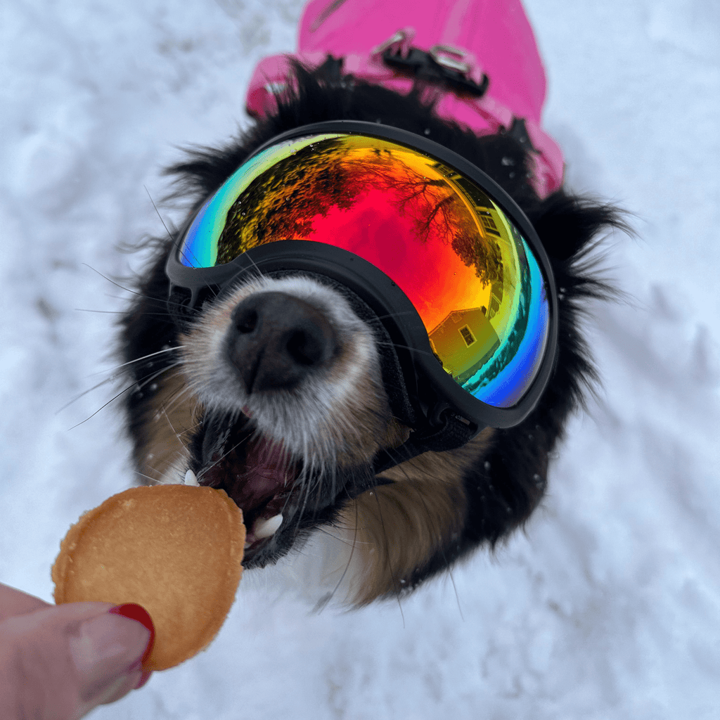 Elk The Halls Antler Chew & Dog Treat Box
