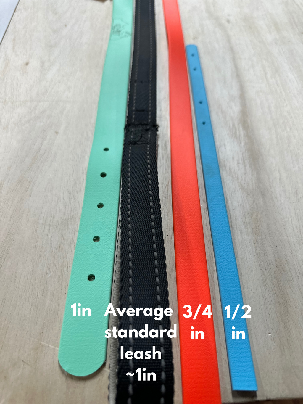 Biothane Standard leash