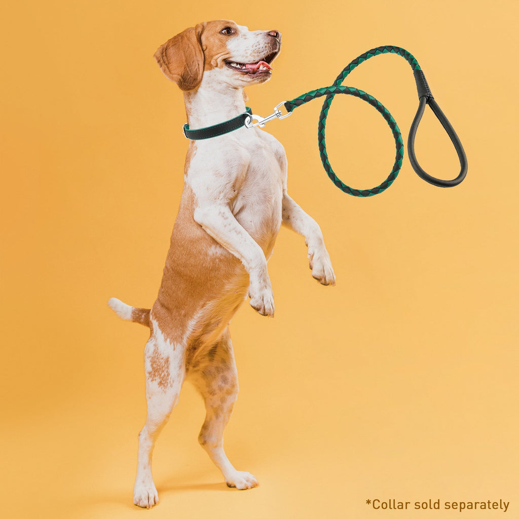 Soft Leather Dual-Color Braided Round Lead