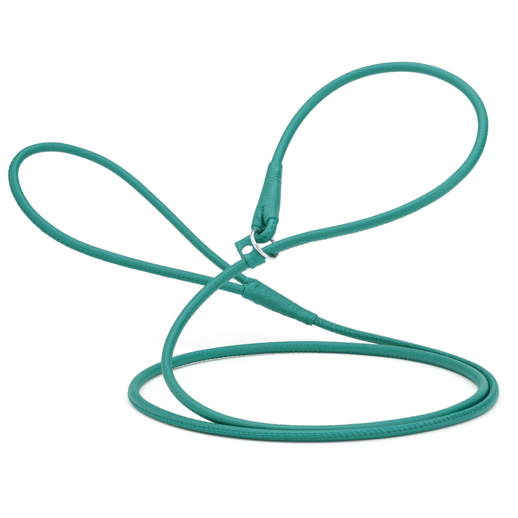 Soft Leather Round Slip Lead for Dogs
