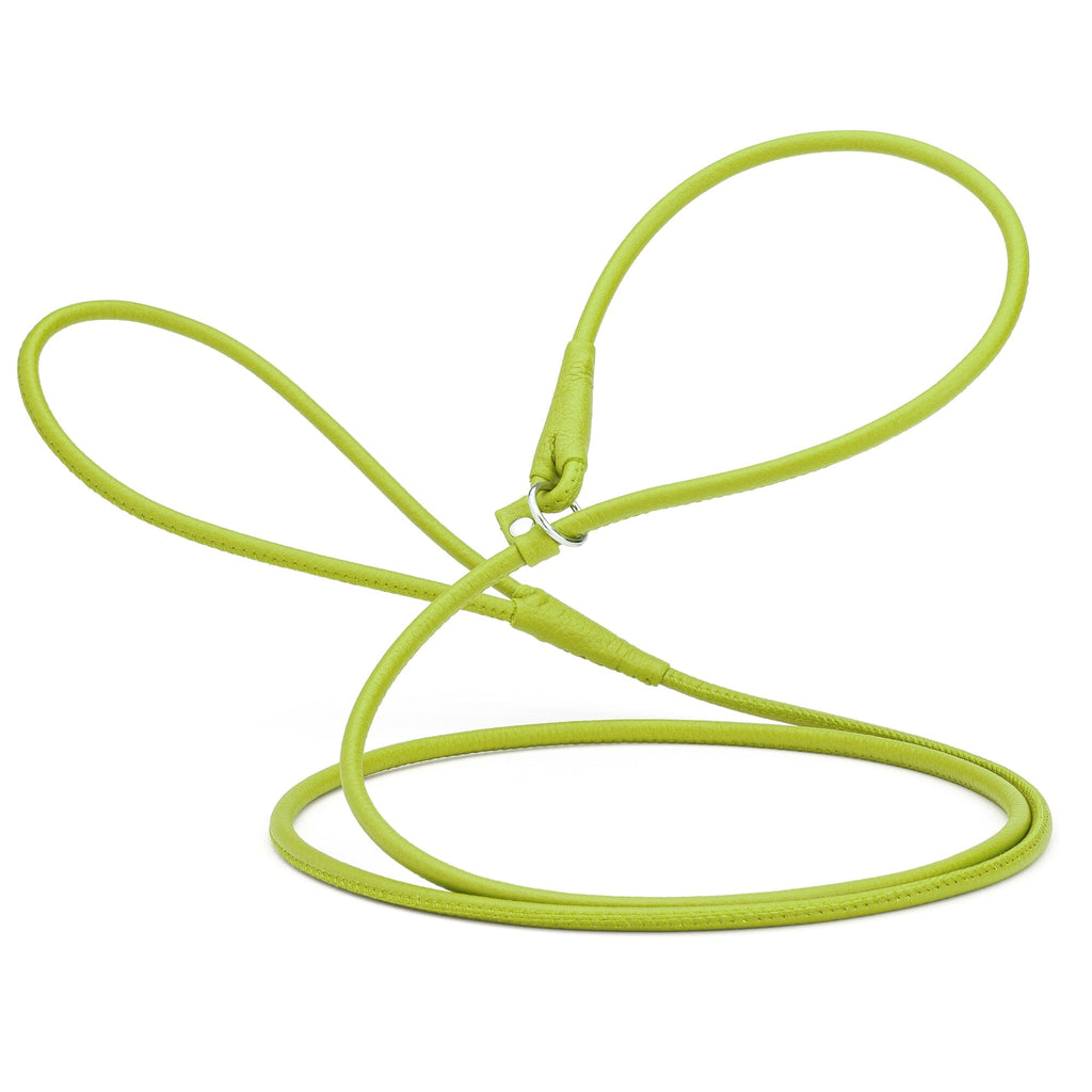 Soft Leather Round Slip Lead for Dogs