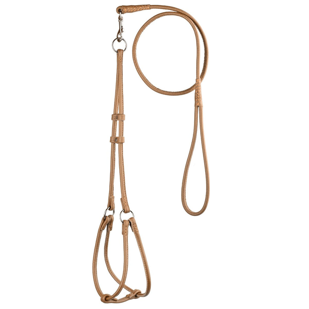 Soft Leather Round Step-In Dog Harness + Round Dog Lead