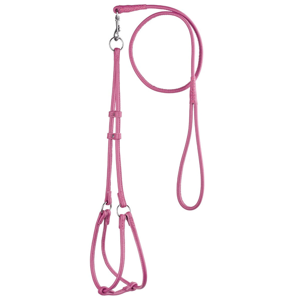 Soft Leather Round Step-In Dog Harness + Round Dog Lead