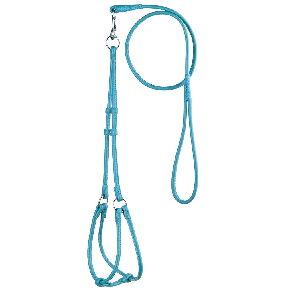 Soft Leather Round Step-In Dog Harness + Round Dog Lead