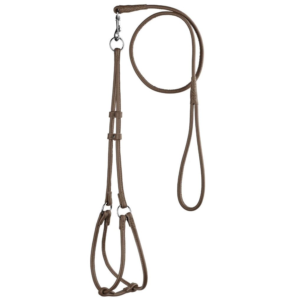 Soft Leather Round Step-In Dog Harness + Round Dog Lead