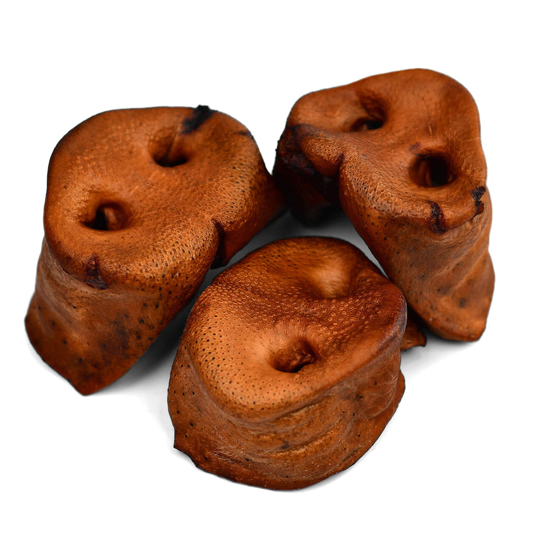 Pork Snouts