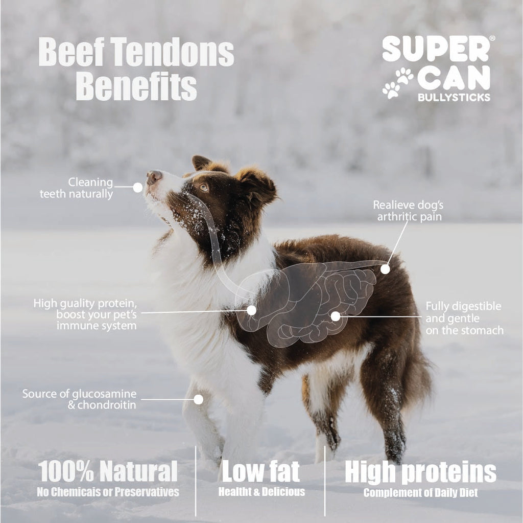 Junior Beef Tendon