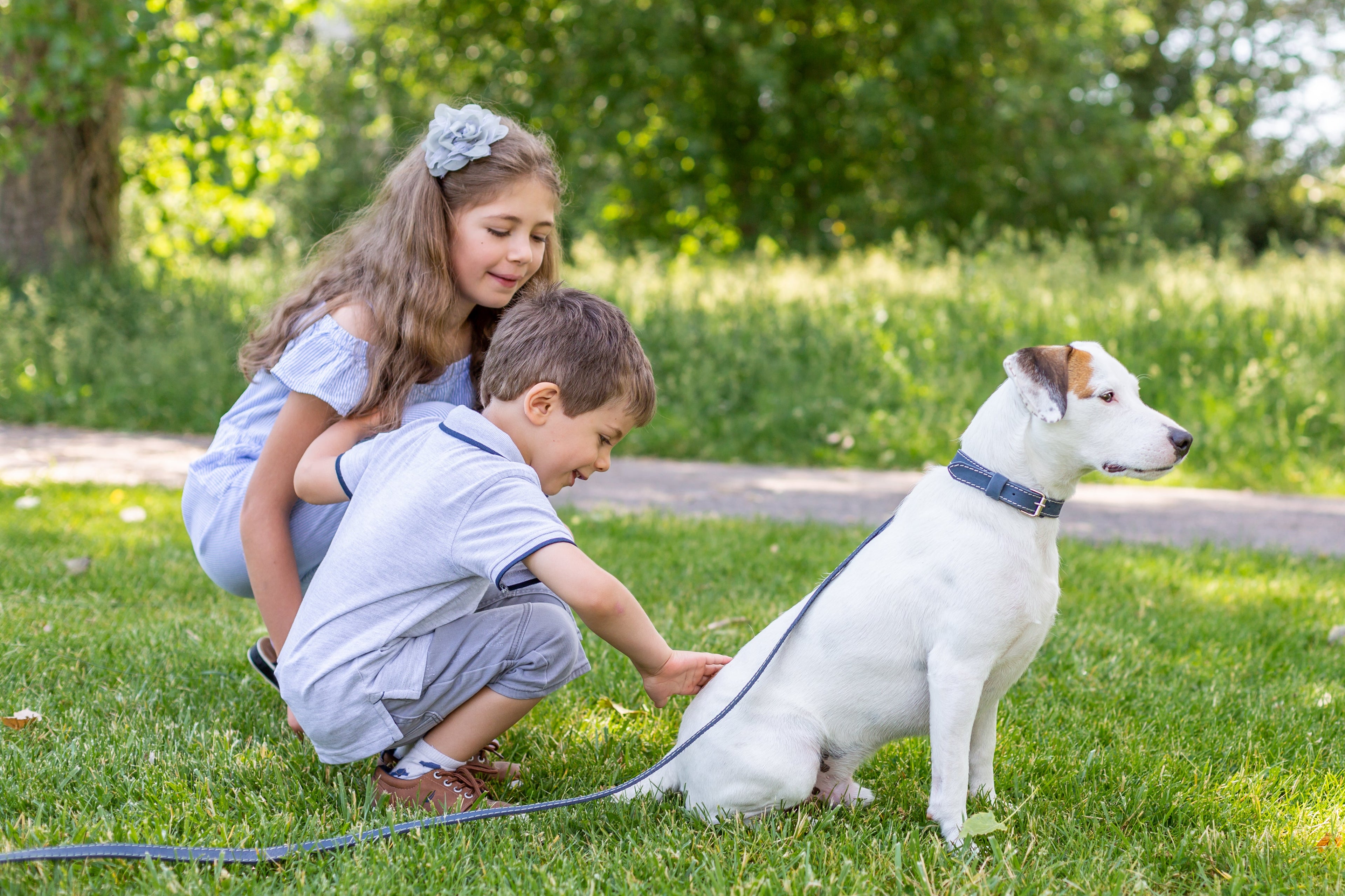Pro Line Hunting Leather Collar and Leash Set