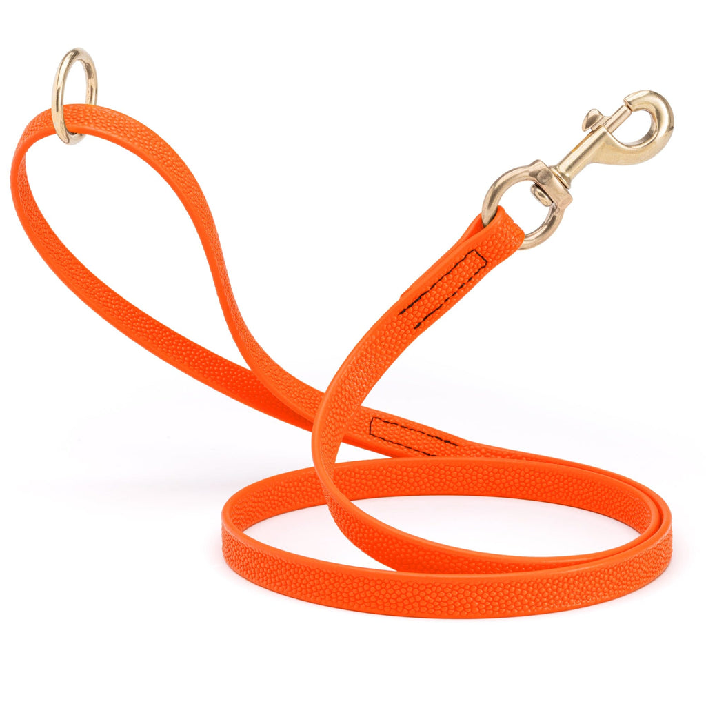 Viper Pebble Emboss BioThane Dog Leash with Solid Brass Hardware