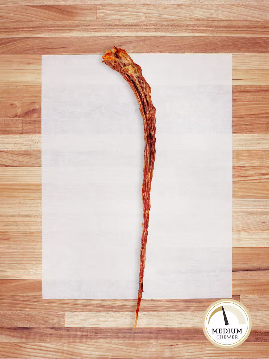Beef Tail