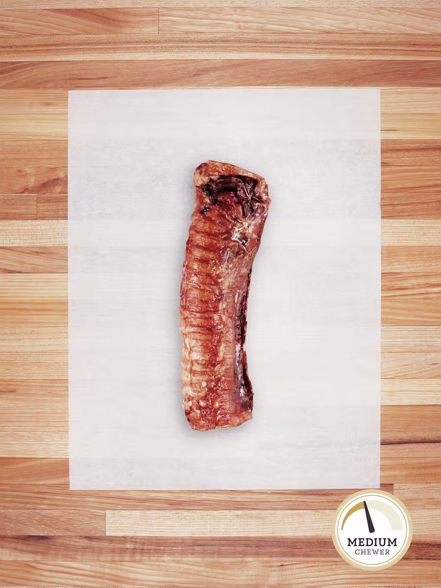 Beef Trachea