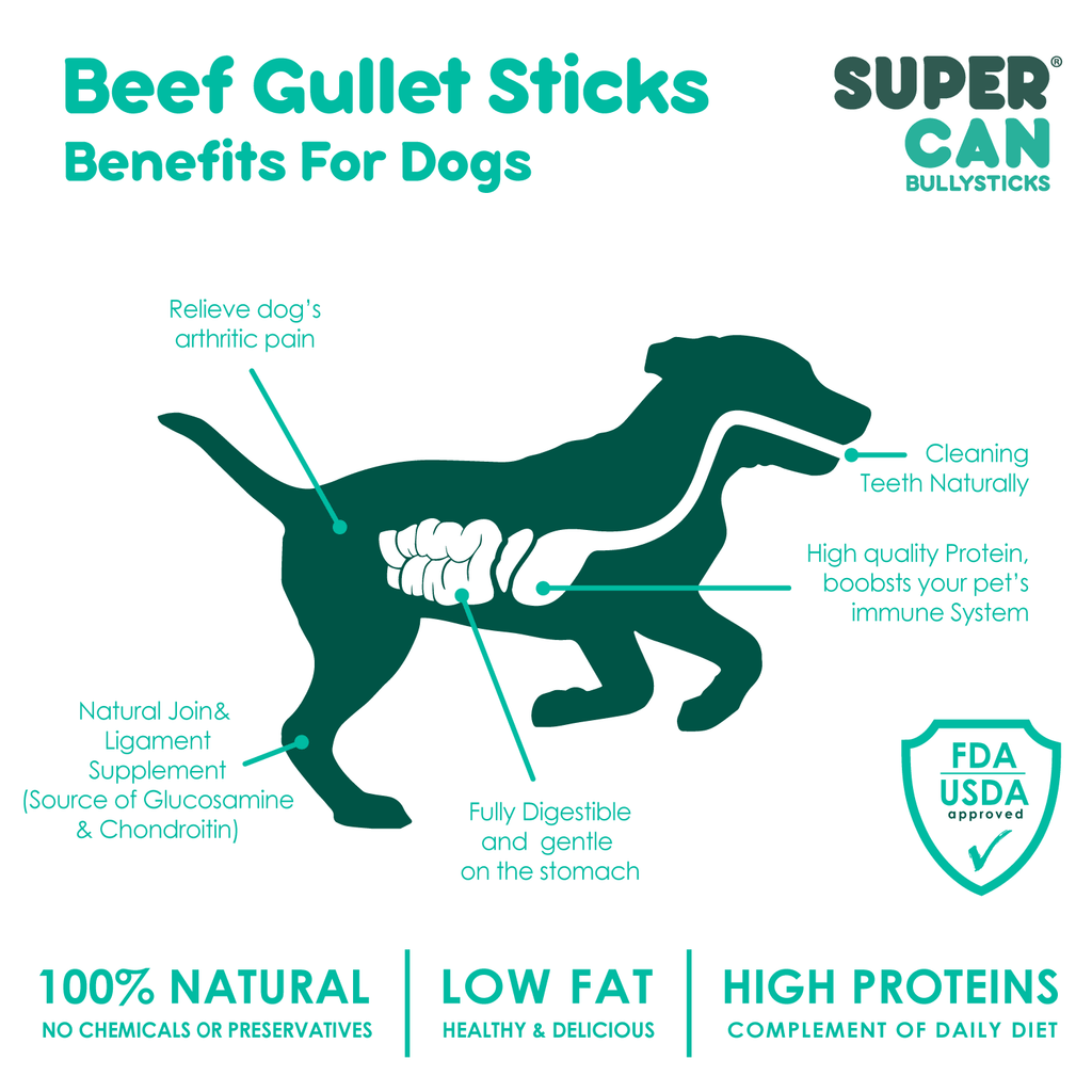 6" Beef Gullet Sticks 8oz