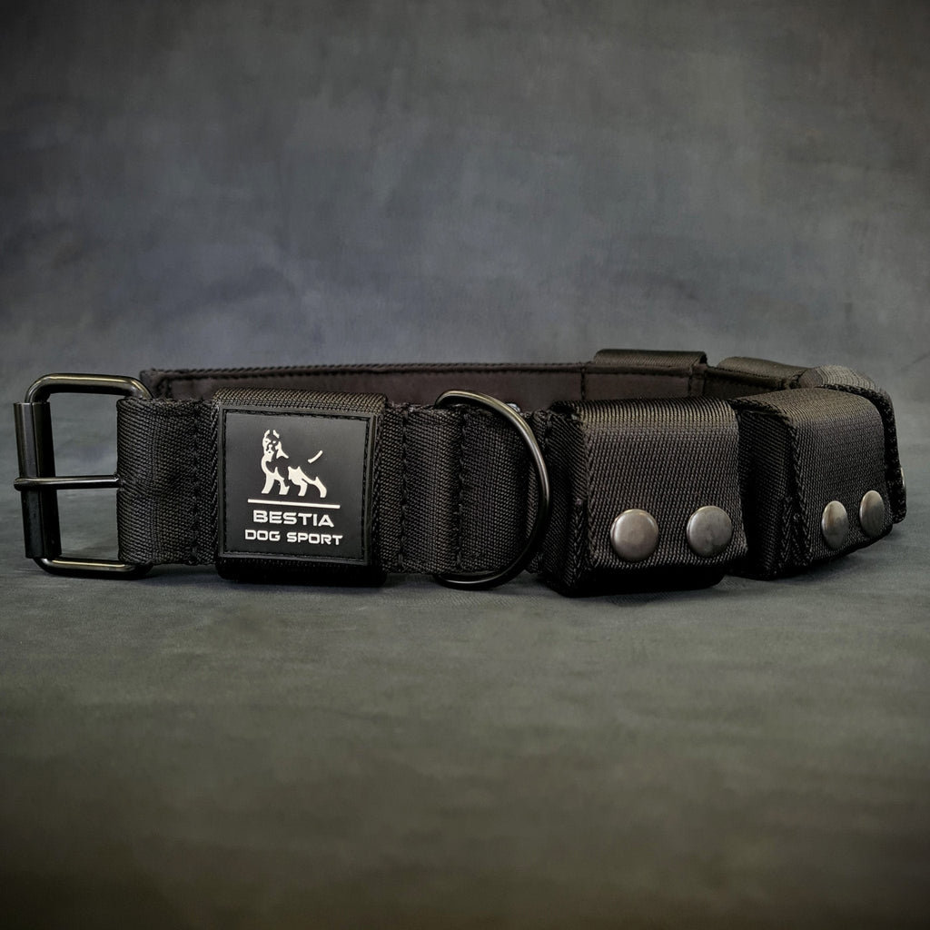 BESTIA DOG SPORT Weighted Dog Training Collar