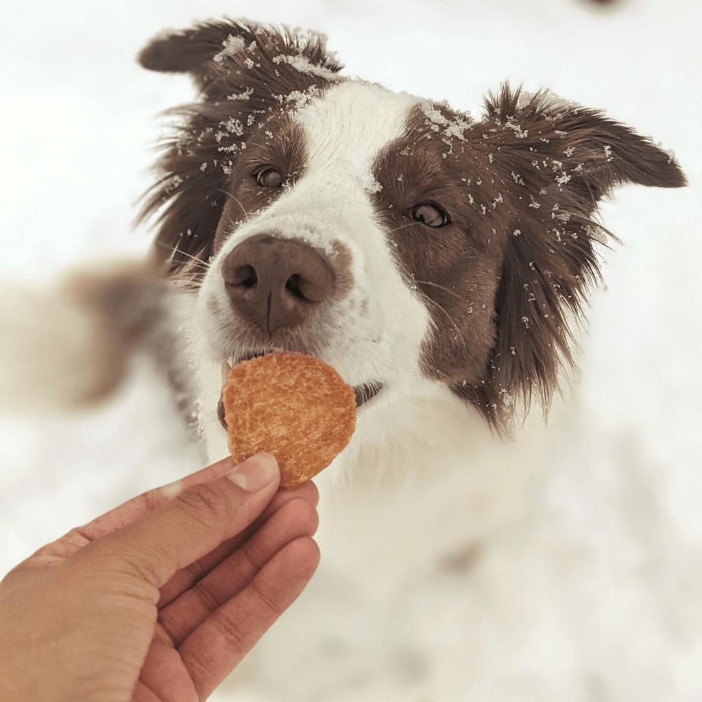 Snack Stuffers Mini Dog Treat Bags