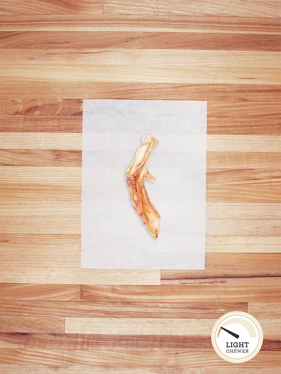 Duck Feet