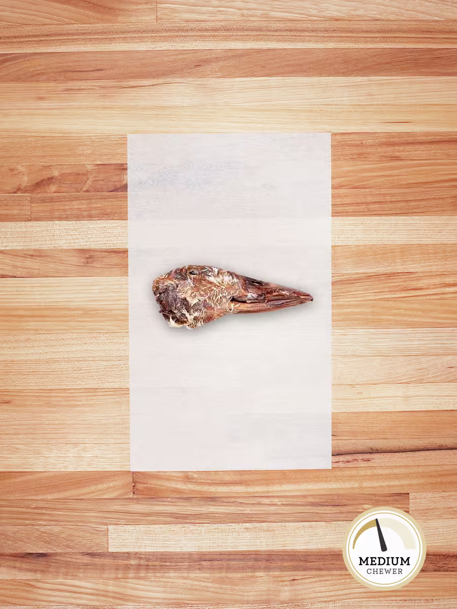 Duck Head