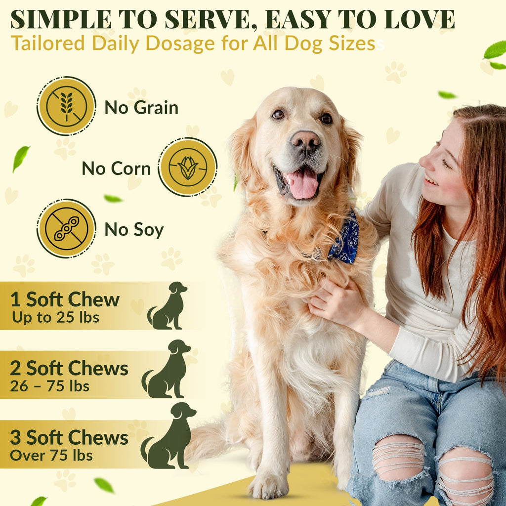 Hip & Joint Supplement for Dogs – Mobility Support for All Breeds