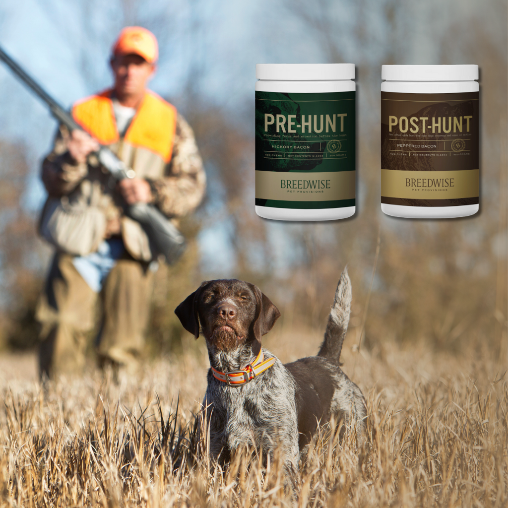 Breedwise Pre & Post-HUNT Soft Dog Chews - Wholesale Bundle (1 case of each)