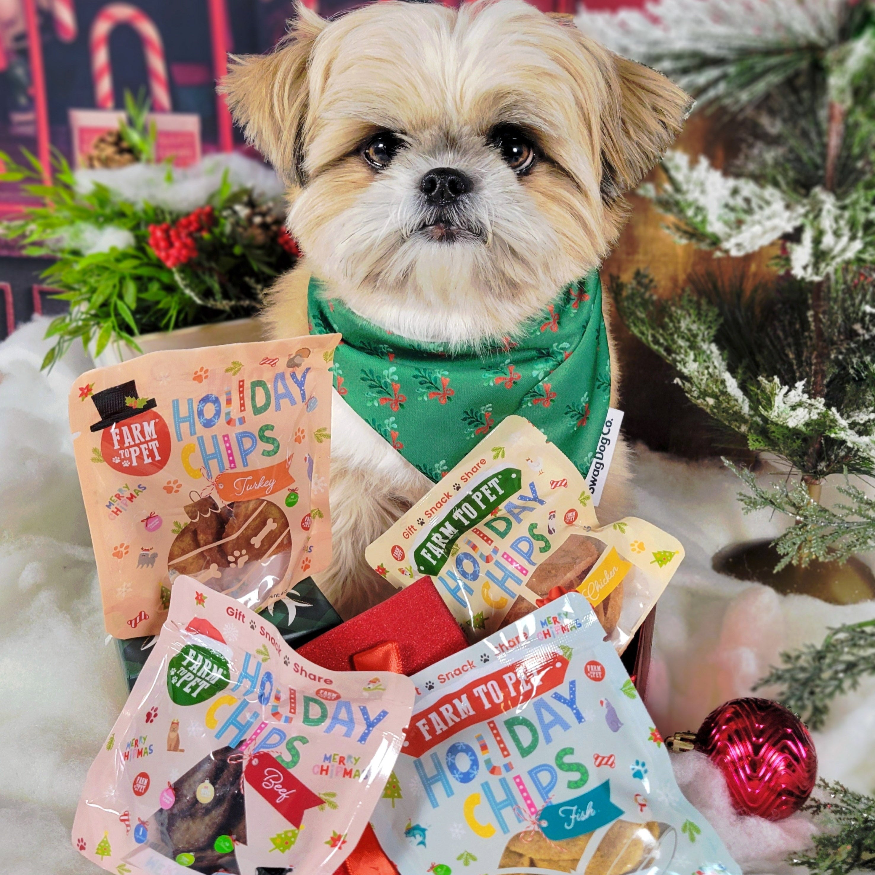 Elk The Halls Antler Chew & Dog Treat Box