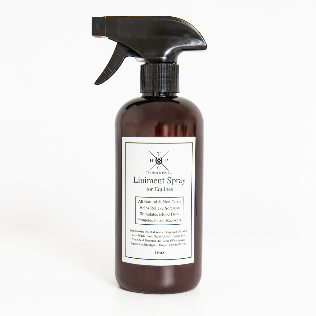 Liniment Spray for Horses - 16oz