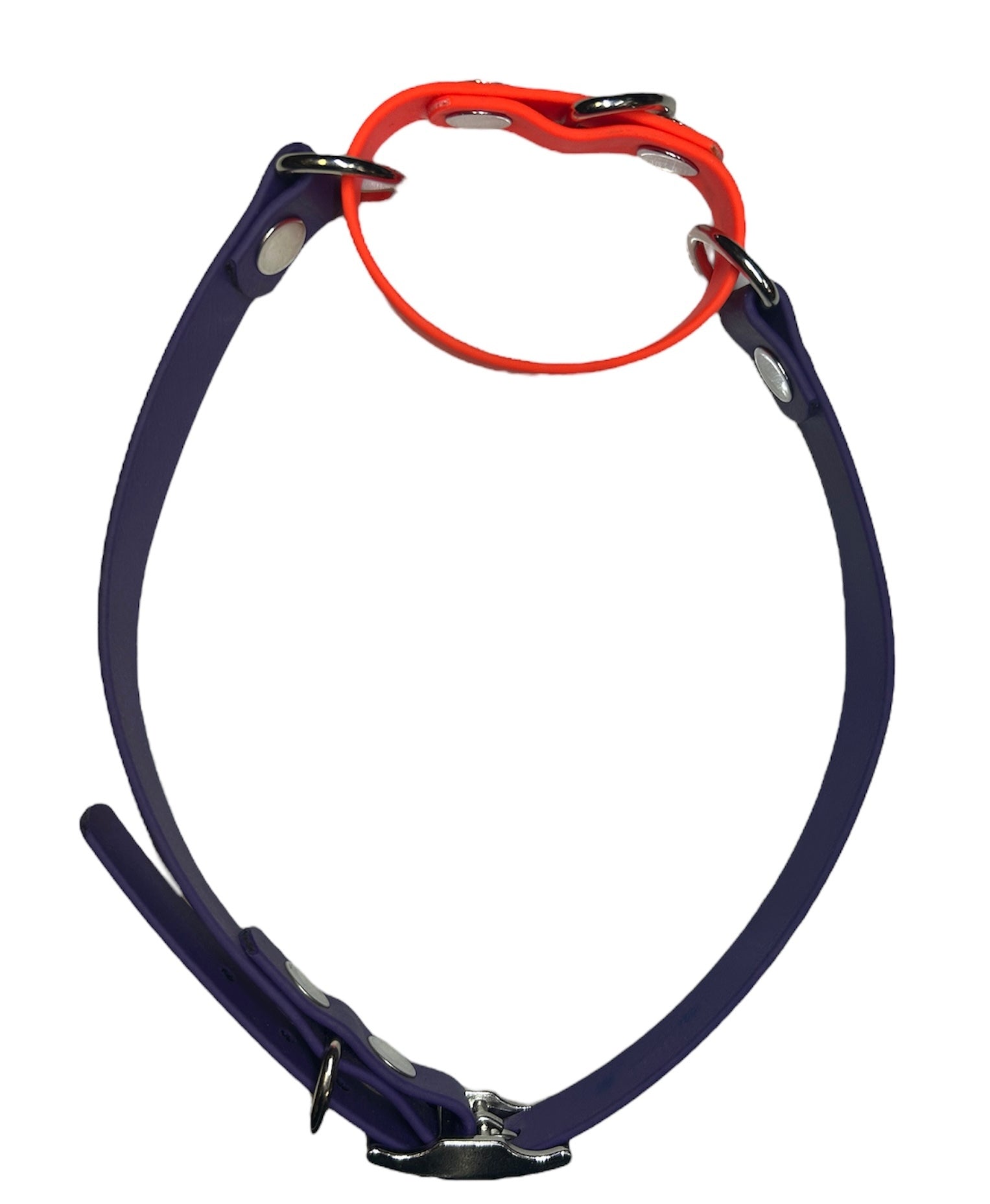1 inch Martingale Collar